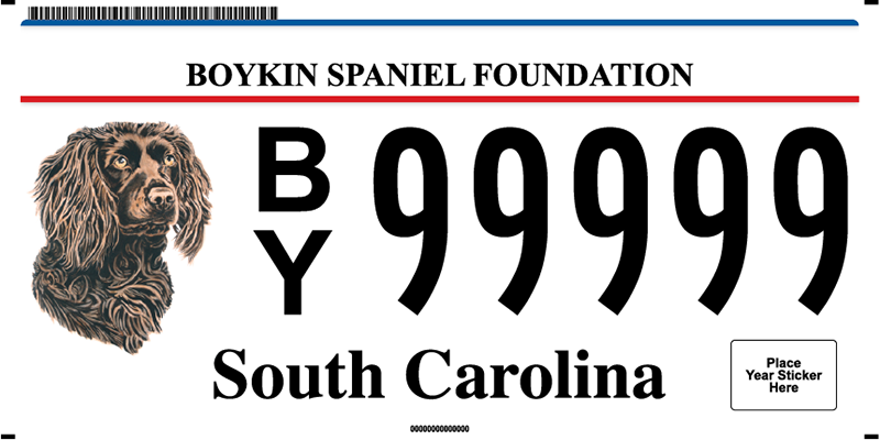 Boykin Spaniel